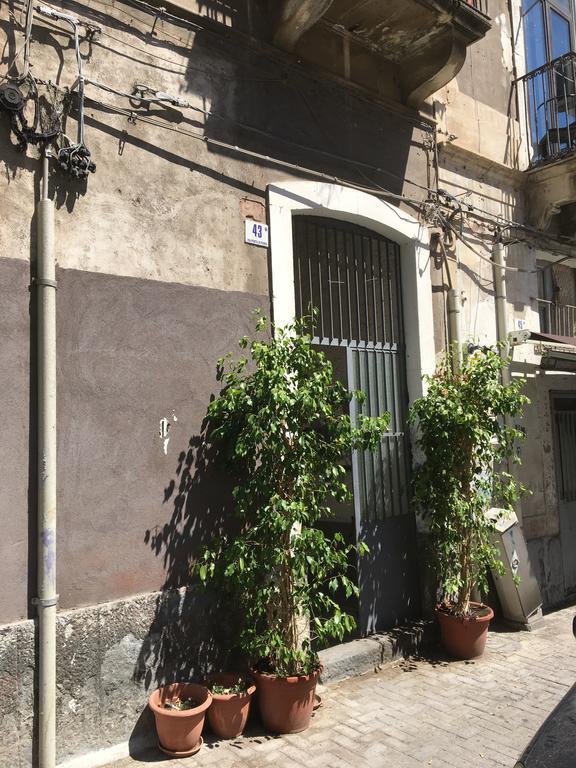 Апартаменти Casa Vacanza Civita Catania Centro Екстер'єр фото